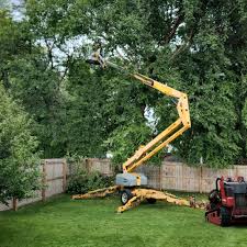 Best Lawn Pest Prevention  in Cave City, KY