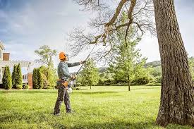 Best Tree Risk Assessment  in Cave City, KY